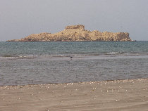 hallier_eu002001.jpg
